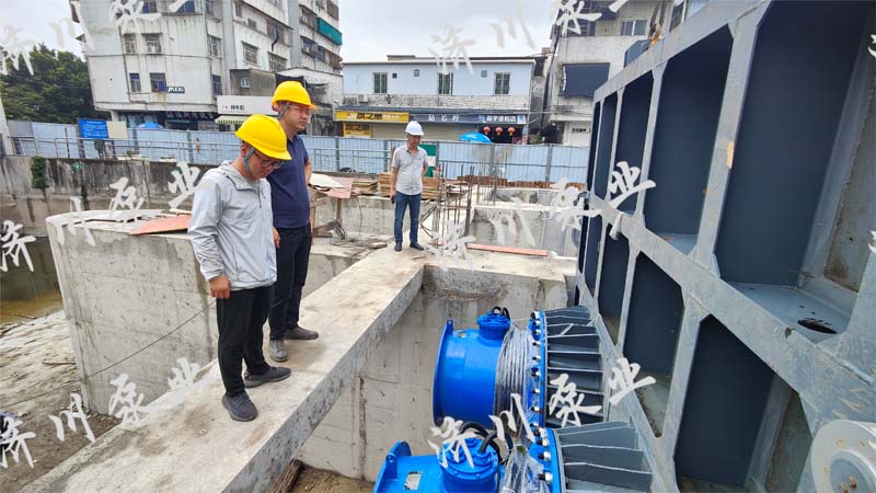 291746760460_.pic_hd